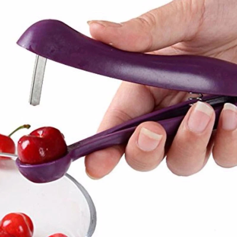 Manual Seed Remover Tool