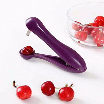 Manual Seed Remover Tool