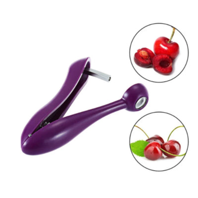 Manual Seed Remover Tool