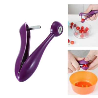 Manual Seed Remover Tool