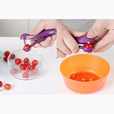 Manual Seed Remover Tool